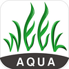 ������WEEK AQUA