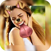 PIP�����Ƭƴ������