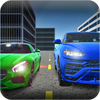 Real World Driver(���������ʻԱ)