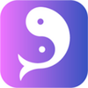 ˾��app