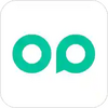 Opteyes