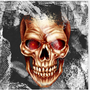 Zombie Diaries Dead City Rescue(��ʬ��ս���Ǿ�Ԯ)