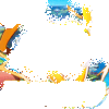 ħ��С����GM��Ȩ��