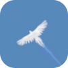 Sky Bird(��֮��)
