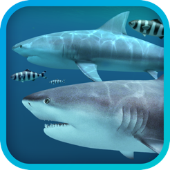 Sharks 3D(Mac~ӑBڼ)