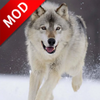 Wolf Dog Simulator(�ǹ�ģ�������İ�)