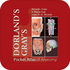 �ڴ�����ͼ��Pocket Atlas of Anatomy TR