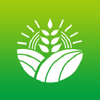 �츳����app