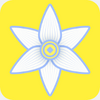 �ٺ�תapp�����