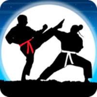 Karate Fighter : Real battles(ֵսʿ2020)v19 ׿
