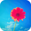 �����ֽ��ѡ