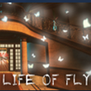 Ӭ������Life of Fly