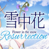 ѩ�л�Flower in the Snow Resurrection