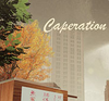 Carperation