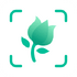 ֲ��ʶ��PictureThisv3.61 ��׿��