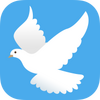 ������׬app