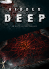 Hidden Deep