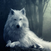 The Wolf(ɭ�ֻ�ԭ��ģ����)