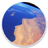 Aerial(Apple TV ȫ����Ļ������ֲ)3.0.2 ���İ�