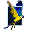 3d wall papers������(3D Effect Wallpaper)ͼ��