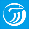 �㴨��app