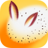 ���ÿ�Ѷ����׬Ǯ