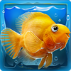 iQuarium(�ֹ�ˮ��ݰ�׿������ֲ��)