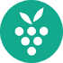 ��Ļ¼�Ʒ�������Berrycastv0.18.2 2026�ٷ����İ�