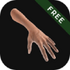 ����ģ��(Hand Draw 3D Pose Tool FREE)��Ѱ�v2.18��׿��