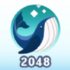 2048����