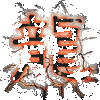 ����ս���ư�