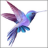 ��������app2.1.8