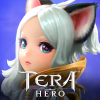TERA ORIGIN(Tera Hero)