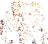 ս��������������iosƻ����