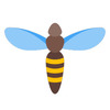 ���ѿ������app