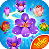 Blossom Blast Saga(�����������İ�)