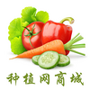 ��ֲ���̳�app(��δ����)