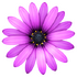 TextMate(�ı��༭��)v2.0.8 MAC�ƽ����İ�