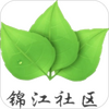 ��������app