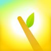 ����app(����������)