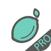��������Pro