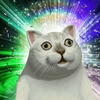 MurCat(murè��Ϸ)