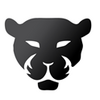 ȫ�ֻ��ʵ�������Pantherbar