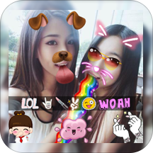 Photo Editor Collage Maker Filters and Stickersv1.3׿