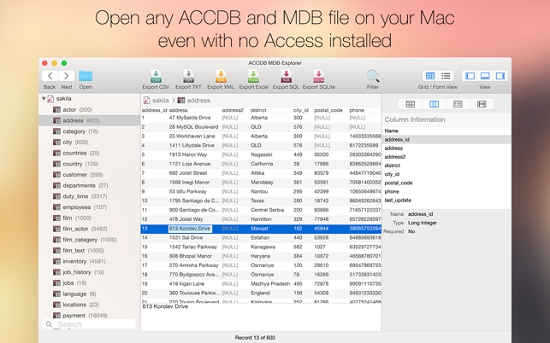 ACCDB MDB Explorer(Access鿴)
