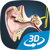 The mechanism of hearing educational VR 3Dͼ��