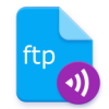 Primitive FTPd(FTPͻ)