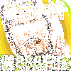 ���ٳ�����888��ֵ��