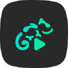Stellio Player���ֲ�����
