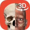 3Dbody����